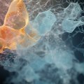 Understanding Neuroendocrine Tumors: Causes, Symptoms, and Treatment